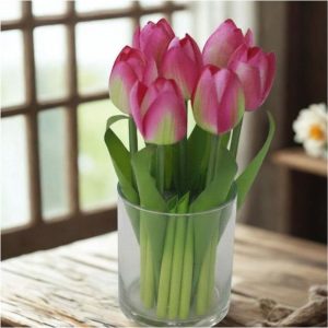 drm-20cm-7-close-waterplant-155x165-cerise